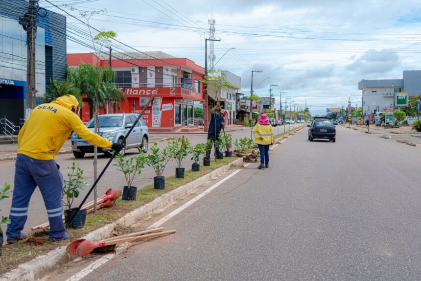 Prefeitura segue o plantio de mudas na avenida Vieira Caúla