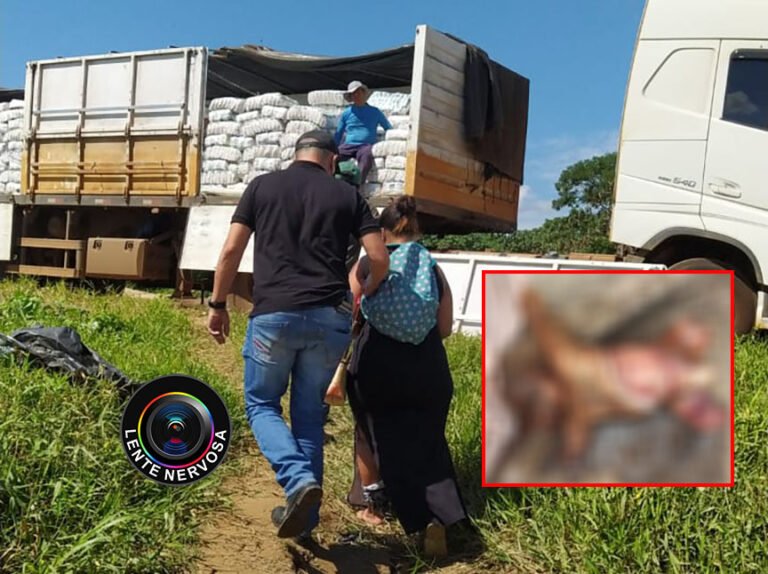 Cachorro encontrou cadáver de bebê morto e esquartejado pela mãe; delegado fala sobre o caso – VÍDEO