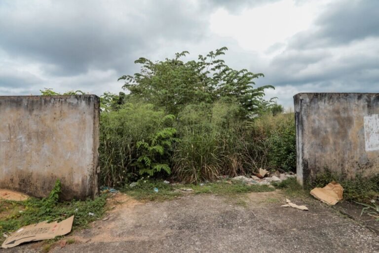 Proprietários de terrenos baldios podem ser multados