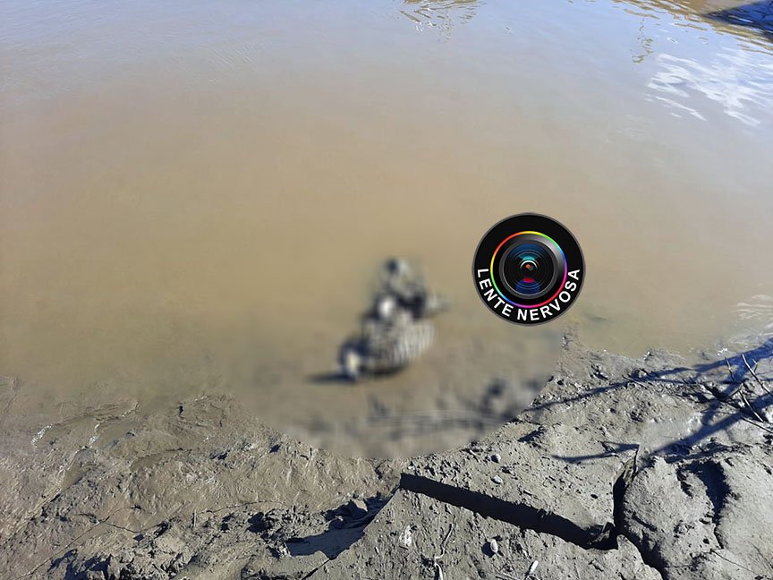 Pescador encontra ossada humana sem crânio no Cai N´água – VEJA VÍDEO 2 ossada humana rio madeira 2