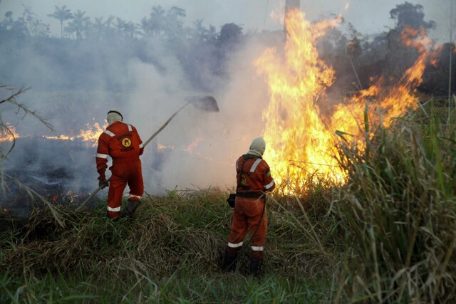 Governo de Rondônia abre seleção com 62 vagas para bombeiros civis voluntários Governo de Rondônia abre seleção com 62 vagas para bombeiros civis voluntários