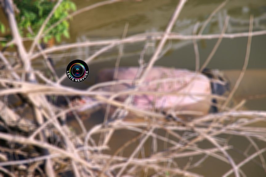 Cadáver é encontrado boiando com mãos e pés amarrados em Candeias do Jamari