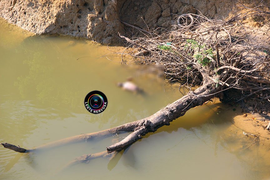Cadáver é encontrado boiando com mãos e pés amarrados em Candeias do Jamari