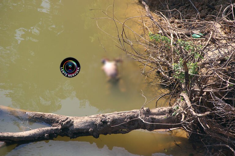 Identificado corpo jogado com mãos e pés amarrados no Rio Candeias – VEJA VÍDEO
