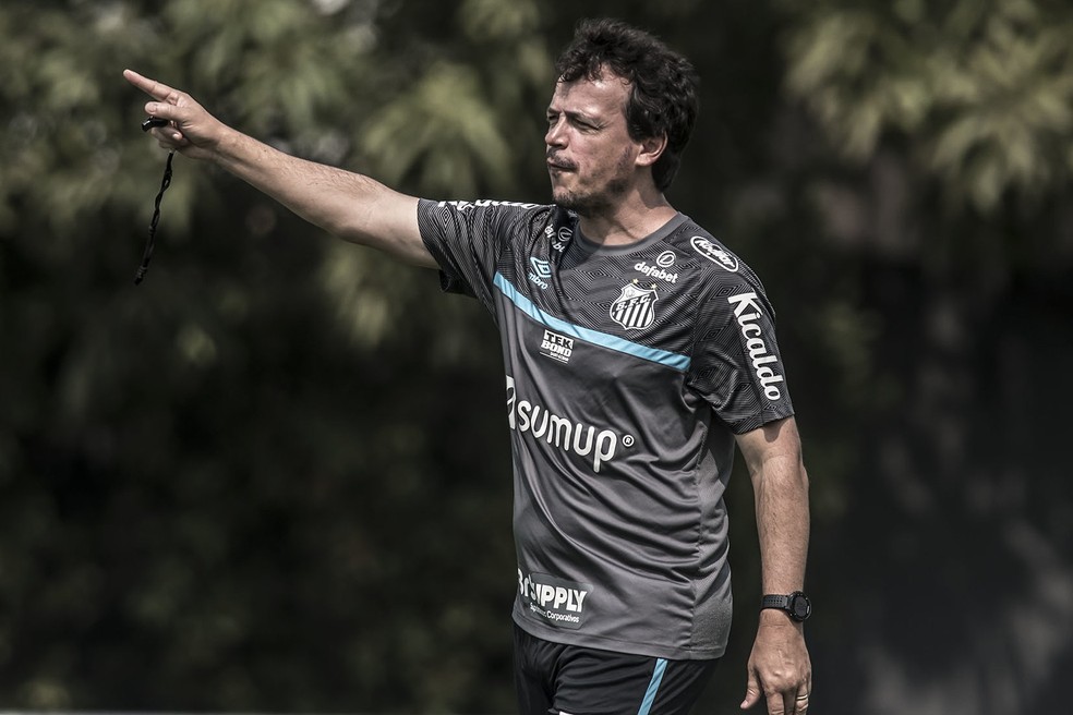 Fernando Diniz é o novo treinador do Vasco Fernando Diniz é o novo treinador do Vasco