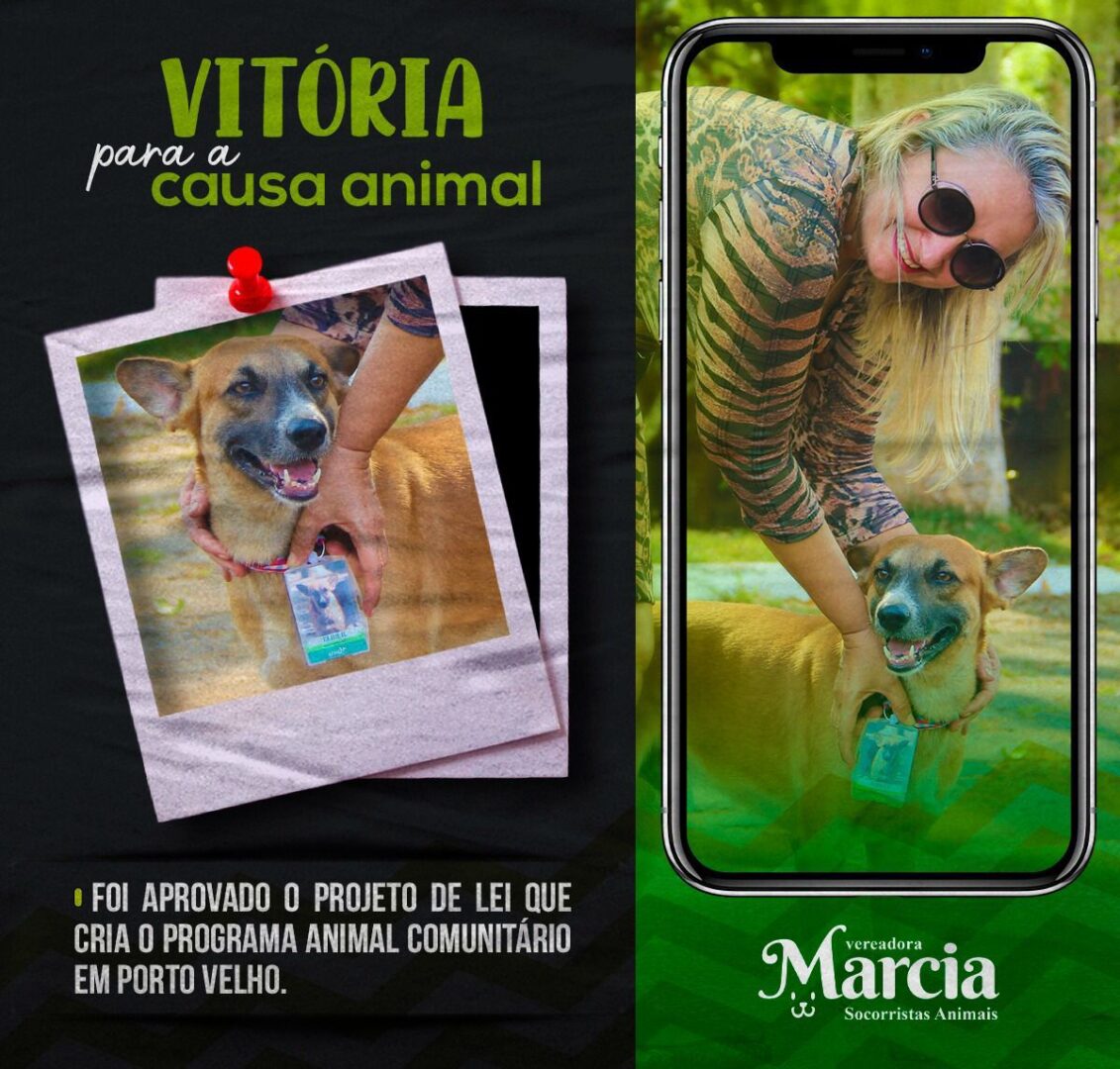 Aprovado mais um Projeto de autoria da Vereadora Márcia Socorristas Animais em defesa dos animais Aprovado mais um Projeto de autoria da Vereadora Márcia Socorristas Animais em defesa dos animais