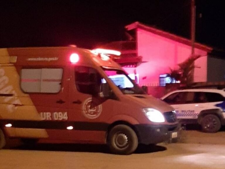 Últimas Notícias 6 Pit Bull rasga o braço da dona e é abatido pela PM em Vilhena