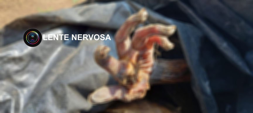 Corpo em avançado estado de decomposição é encontrado em sítio