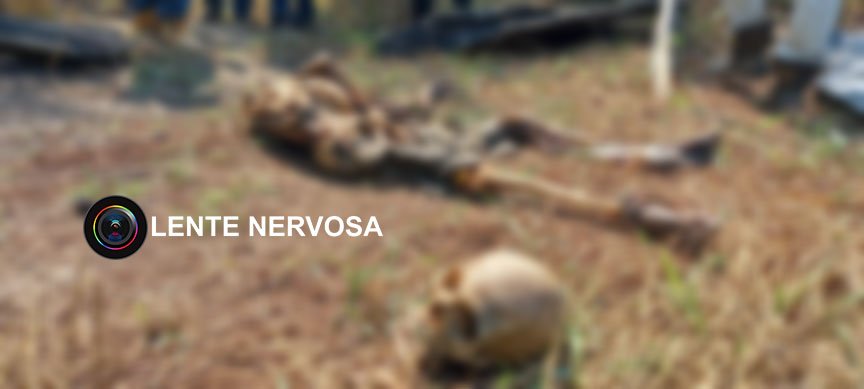 Corpo em avançado estado de decomposição é encontrado em sítio