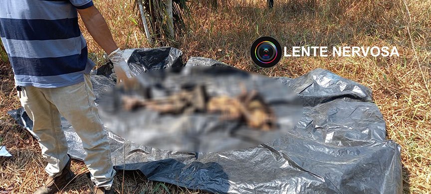 Corpo em avançado estado de decomposição é encontrado em sítio 6 Corpo em avançado estado de decomposição é encontrado em sítio