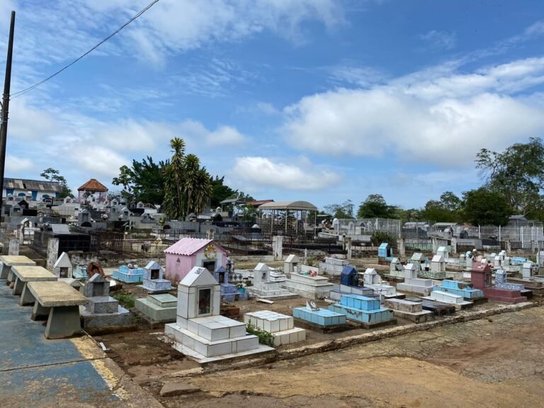 Últimas Notícias 5 Dia do Servidor Público e Finados: veja o que abre e fecha em Rondônia