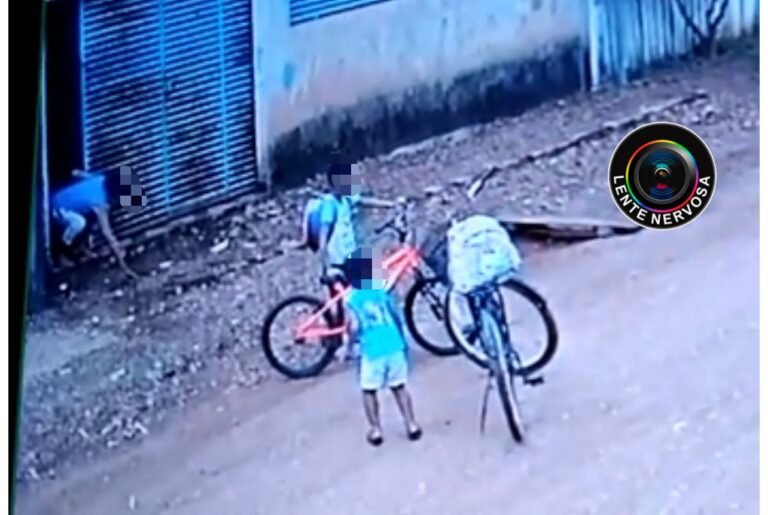 LOUCA DA PEDRA – Idosa é presa após atirar pedra em crianças; suspeita já matou cachorro e gato