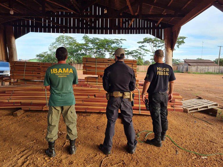 Polícia Federal deflagra operação contra extração irregular de madeira da Floresta Amazônica
