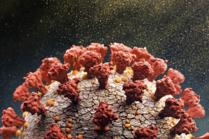 URGENTE - Variante Ômicron já está no Brasil, confirma Anvisa