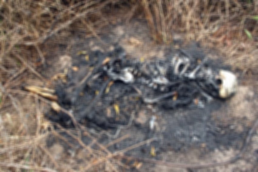 Ossada Humana Carbonizada