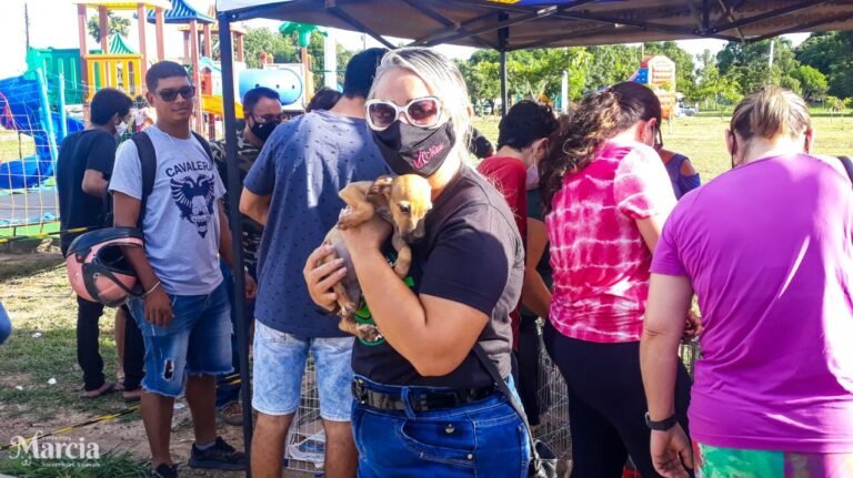 Márcia Socorristas Animais Participa da 1ª Feira de Adoção de Cães e Gatos de Porto Velho