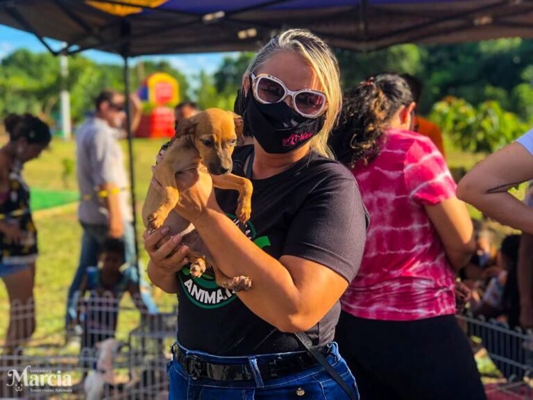 Lei de ver. Márcia Socorristas Animais que obriga agressores de animais domésticos a pagarem tratamento veterinário em Porto Velho é sancionada