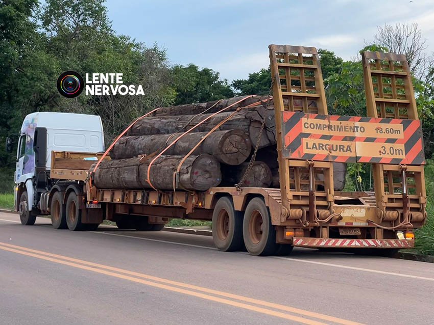 Mulheres são socorridas após serem atingidas por tora de madeira na ponte