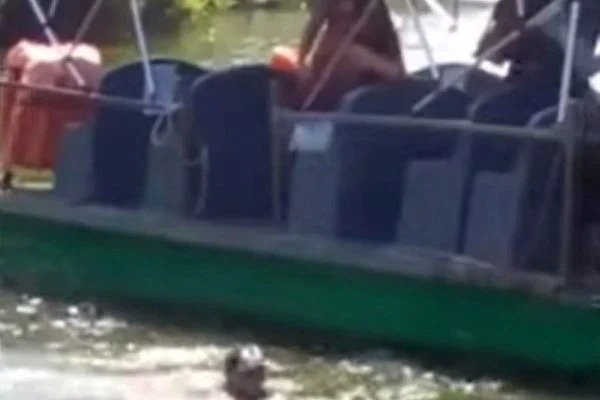 Por exigir uso de máscara, condutor de balsa é arremessado em canal - VÍDEO