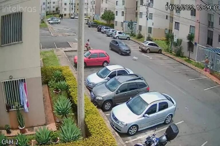 Vídeo: motorista mata cadela atropelada em condomínio no DF e foge