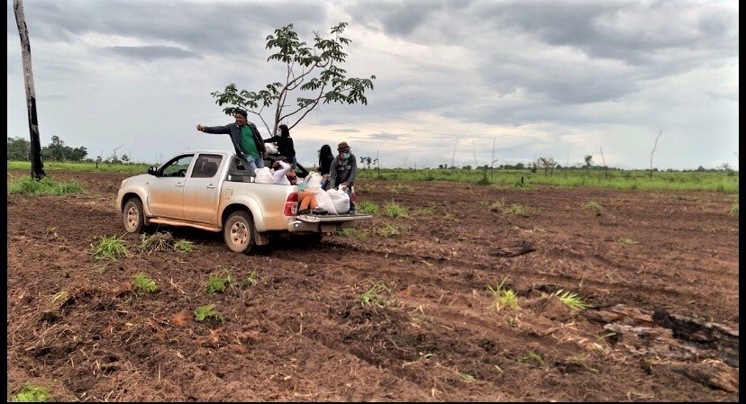 Indígenas iniciam reflorestamento de mais de 350 hectares em Rondônia e Mato Grosso