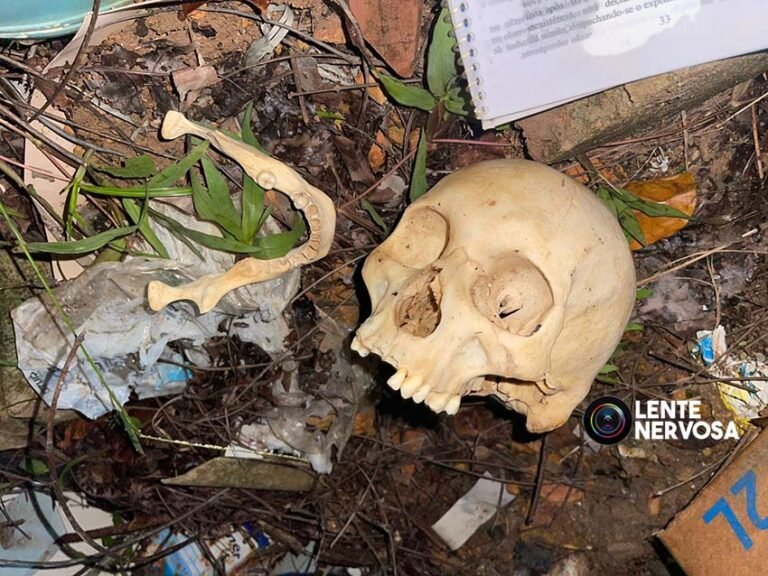 Homem vai urinar e encontra crânio humano e mandíbula dentro de envelope – VÍDEO