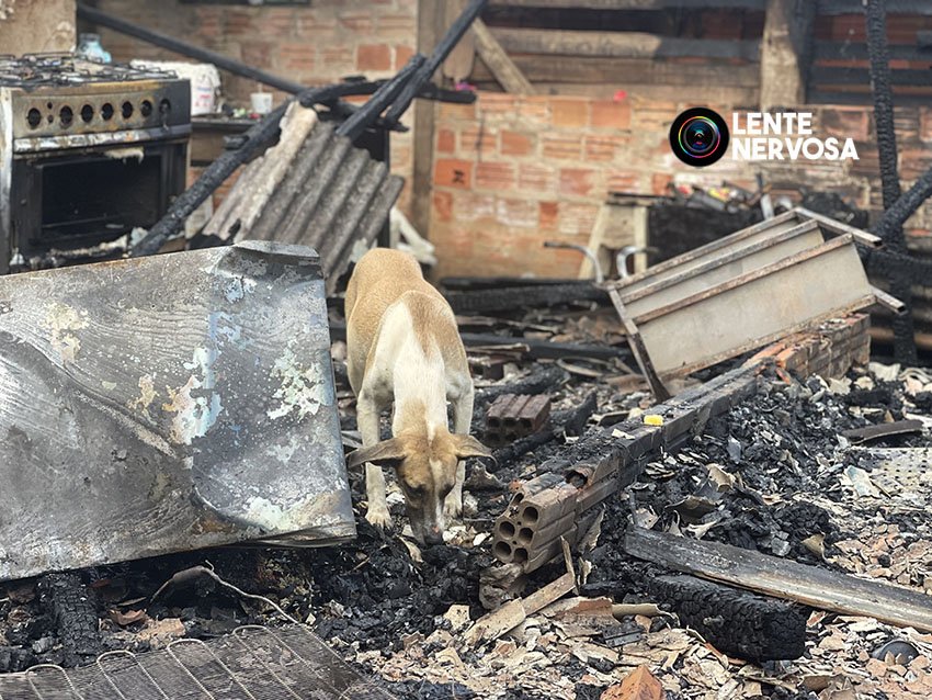 Residência é destruída por incêndio e família precisa de doações - VEJA VÍDEO