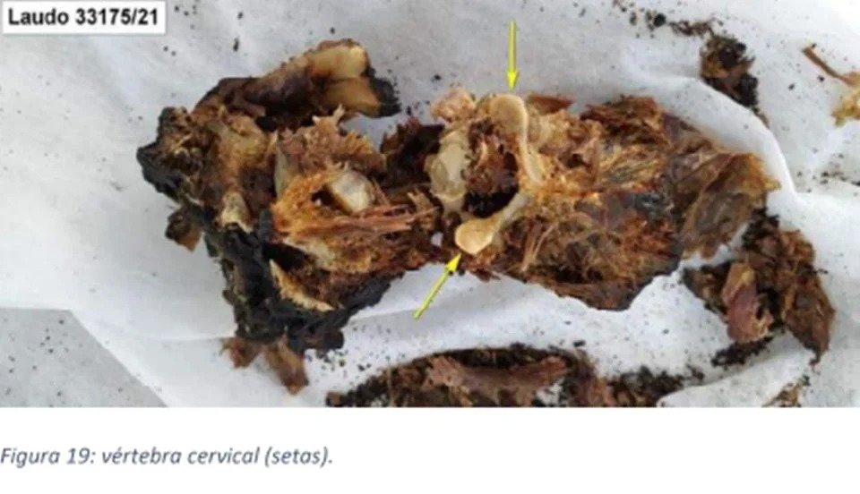 IMAGENS FORTES - Carbonizado, corpo de homem morto em ritual foi separado em 419 partes