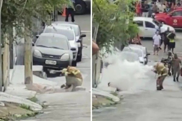 Vídeo mostra resgate de homem ferido por 1.500 ferroadas de abelha no Rio de Janeiro