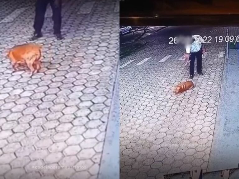 VÍDEO: Cachorro sendo agredido por porteiro de condomínio vira caso de polícia em Cacoal