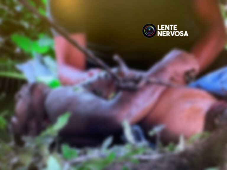 Polícia é acionada após populares encontrarem cadáver degolado em córrego