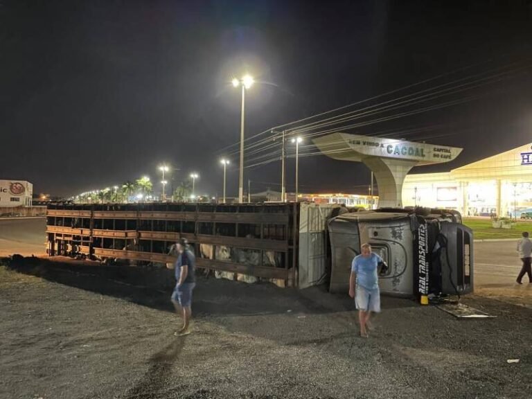 Últimas Notícias 9 Carreta com 90 bezerros tomba na BR-364