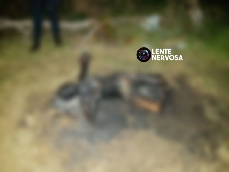 Pescador encontra jovem carbonizada ao lado de rio em Porto Velho