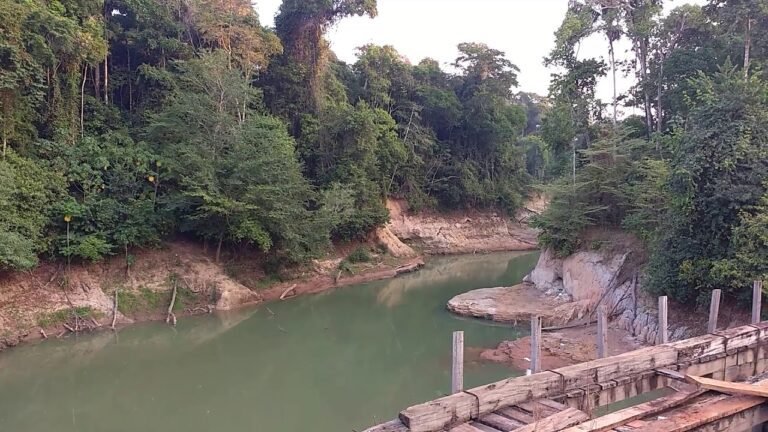 Últimas Notícias 3 Bombeiros resgatam cadáver de mulher após afogamento no Rio Candeias