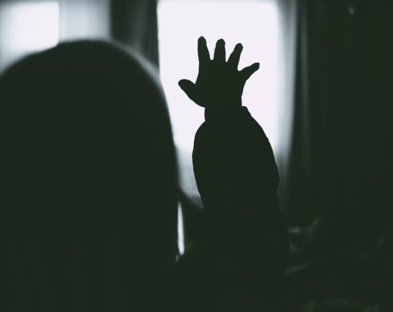 Últimas Notícias 3 Menina de 11 anos, vítima de estupro, é impedida de fazer aborto legal em SC