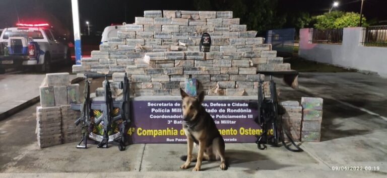 Polícia Militar apreende mais de 300 quilos de cocaína em RO