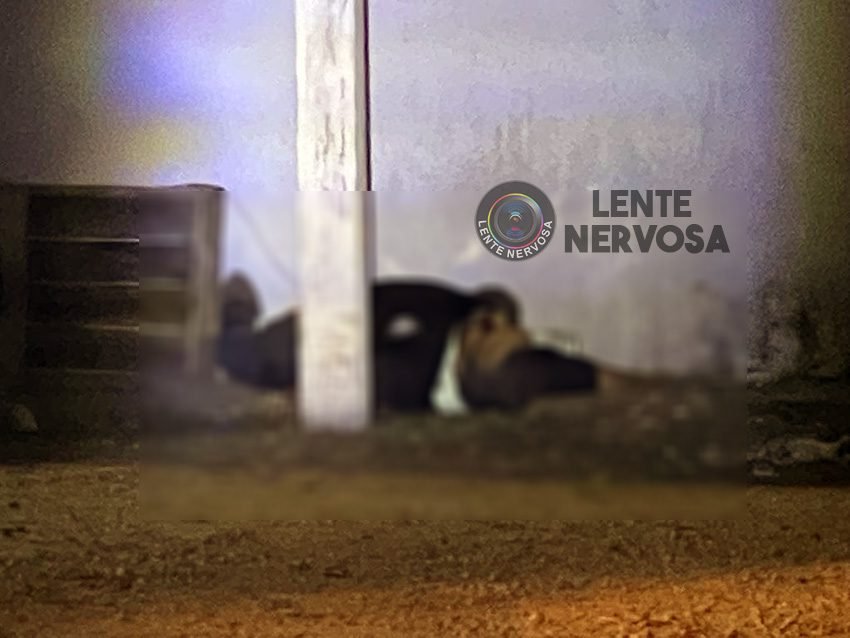 VÍDEO – Criminosos executam vigilante em possível roubo de arma no Cristal da Calama