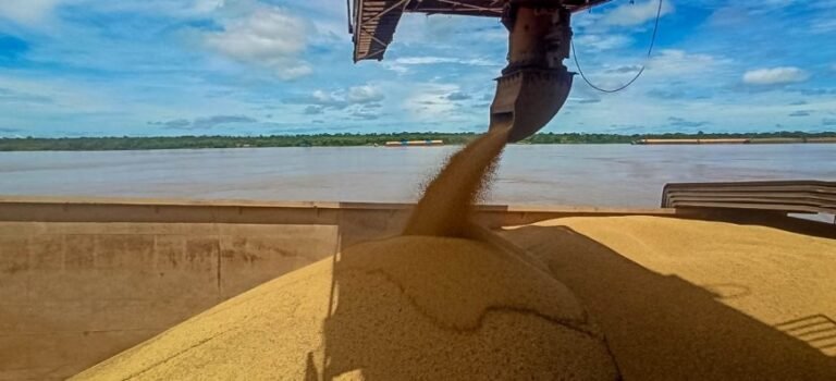 Rondônia registra aumento de 45% na exportação no 1° quadrimestre de 2022