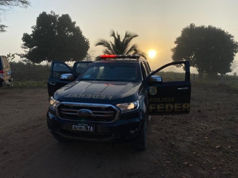 Operação da PF em Mirante da Serra mira único desmatador que devastou 800 hectares de floresta