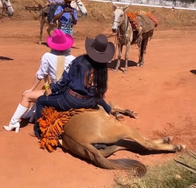 REVOLTANTE – EX-BBB senta em cavalo exausto durante cavalgada em Rondônia – VÍDEO