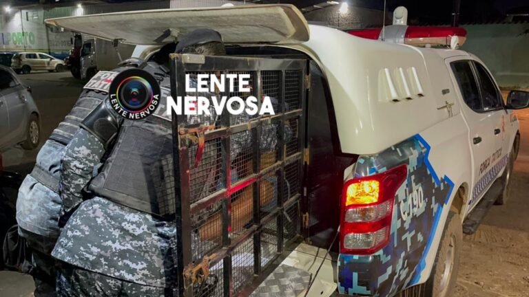 Últimas Notícias 6 Presos por roubo em residência, criminosos brigam dentro do camburão a caminho da delegacia