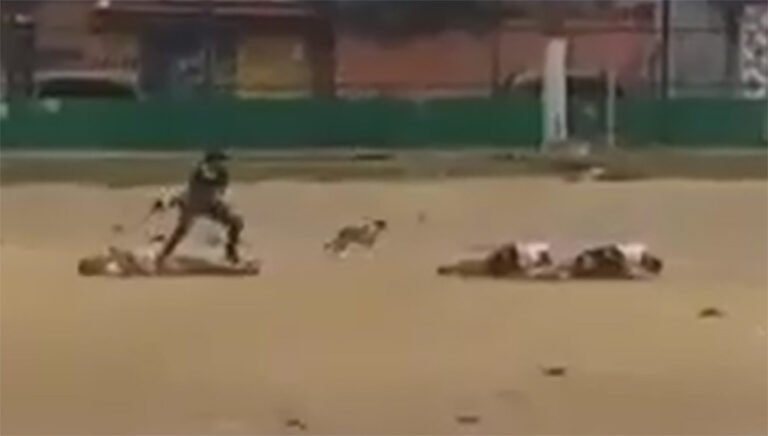 Últimas Notícias 2 Jogadores são executados a tiros em partida de futebol que era transmitida ao vivo – VEJA O VÍDEO