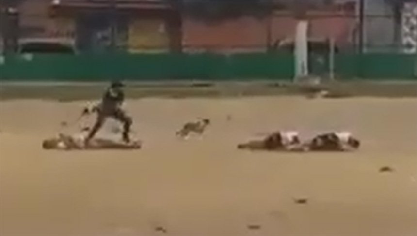 Jogadores são executados a tiros em partida de futebol que era transmitida ao vivo – VEJA O VÍDEO