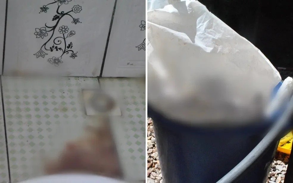 BRUTAL - Adolescente de 14 anos é suspeita de matar a filha após dar à luz 2 BRUTAL - Adolescente de 14 anos é suspeita de matar a filha após dar à luz