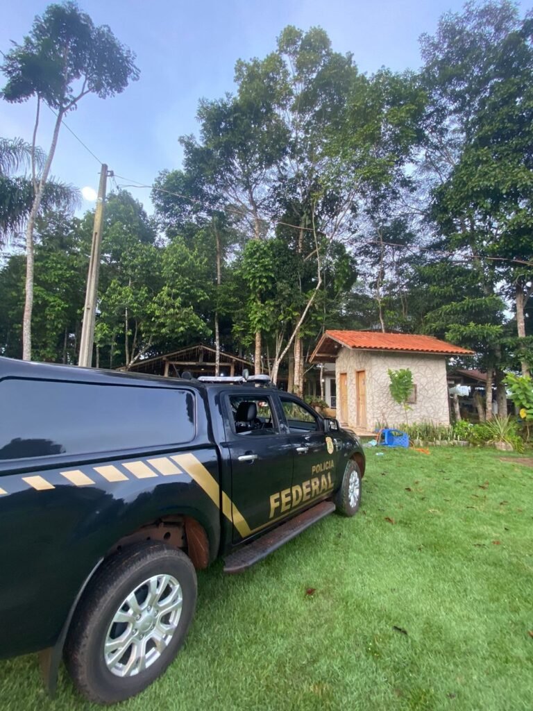 PF deflagra operação de combate à extração ilegal de madeira em RO