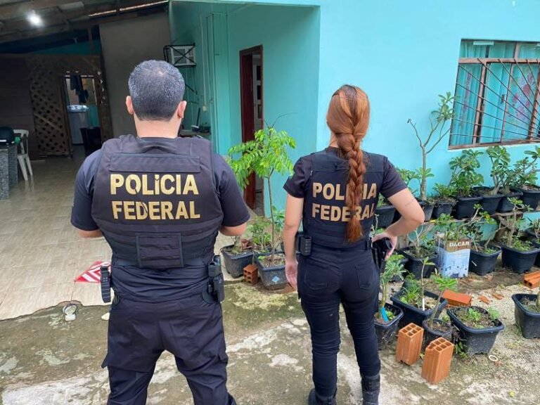 PF deflagra operação de combate ao abuso sexual infantil e prende suspeito em flagrante