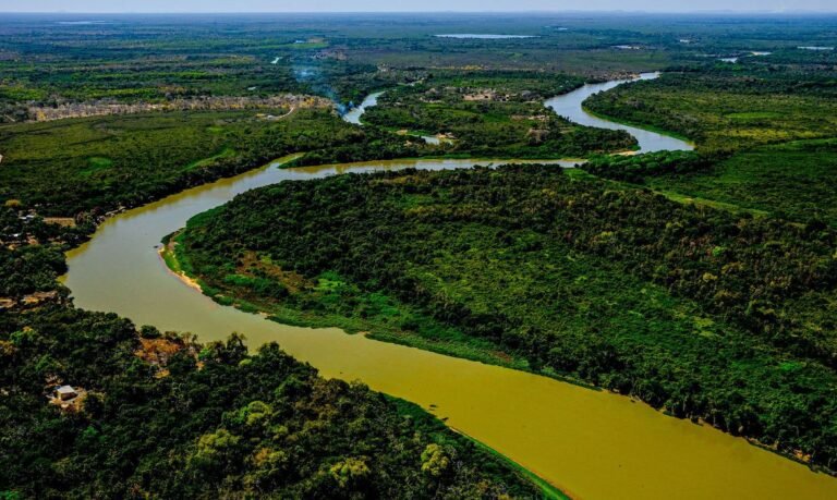 Projeto poderá ampliar proteção ao Pantanal
