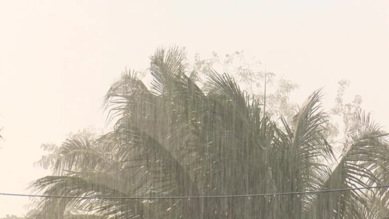 Tempo fica instável e feriadão da Semana Santa deve ser de chuva em Rondônia; veja previsão
