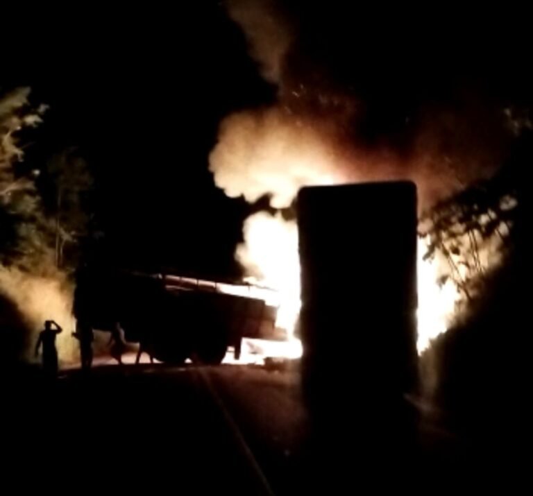 Últimas Notícias 10 Grave acidente na BR-364 resulta em vítimas fatais e perda de animais – VEJA O VÍDEO