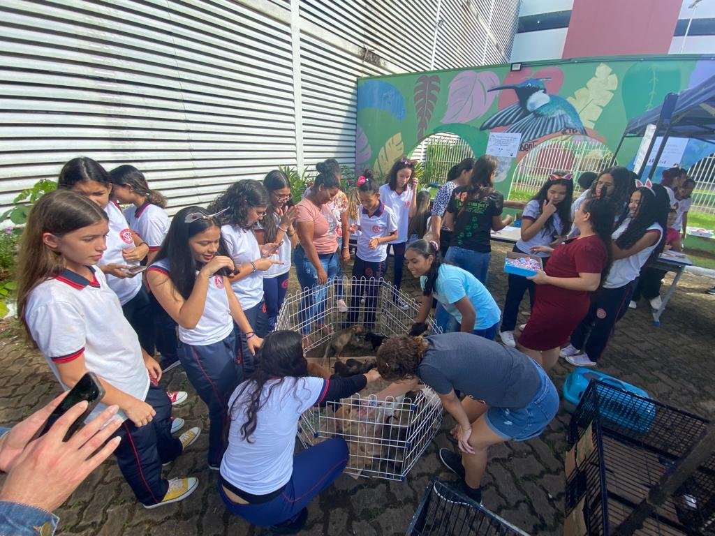Vereadora Márcia Socorristas Animais participa de feira de adoção de animais na capital 2 Vereadora Márcia Socorristas Animais participa de feira de adoção de animais na capital